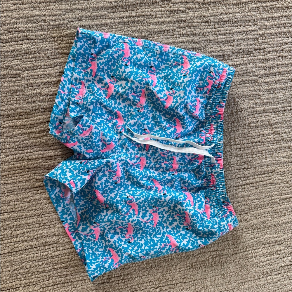 chubbies Kids Teal Swim Trunks with Pink Dolphin Print - Picture 1 of 3